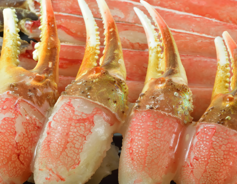 カニ爪（２本）