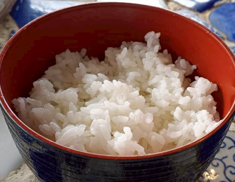 白ご飯